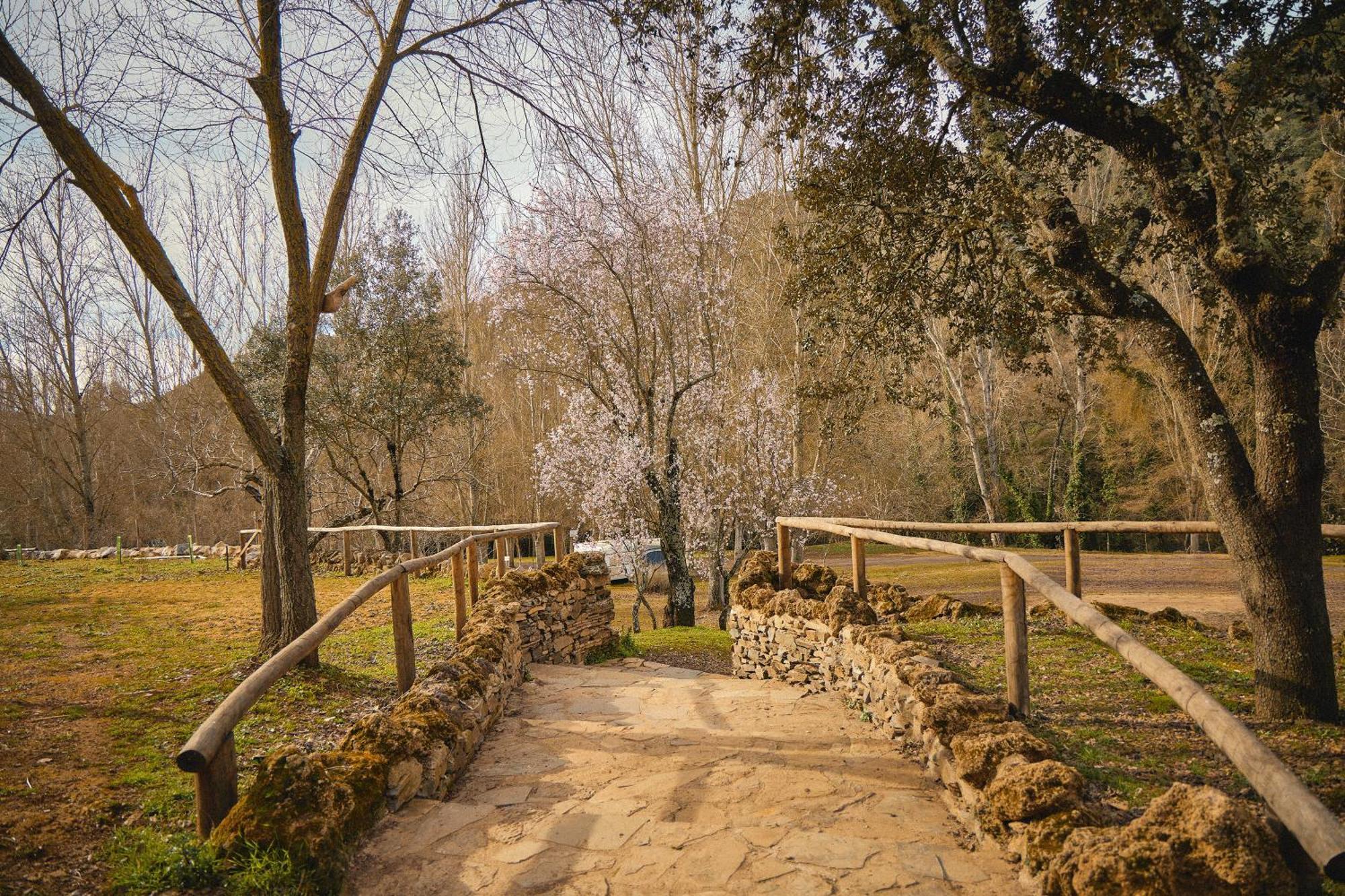 Batan De Las Monjas San Nicolás del Puerto Dış mekan fotoğraf
