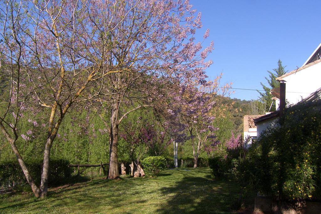 Batan De Las Monjas San Nicolás del Puerto Dış mekan fotoğraf